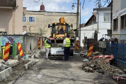 baia mare se avanseaza cu lucrarile pe strada pietrosului pe strada 1 mai se planteaza 81 de arbori 67f823c534bfb