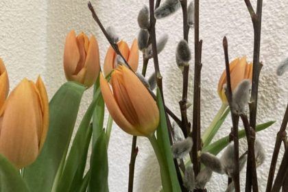 duminica floriilor intrarea domnului in ierusalim 67fb83bee5c2c