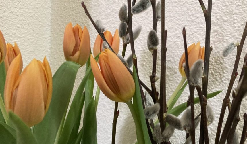 duminica floriilor intrarea domnului in ierusalim 67fb83bee5c2c