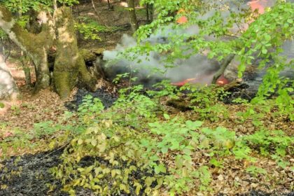 isu incendiu de litiera de padure in comuna lapus 6811eadb79af9