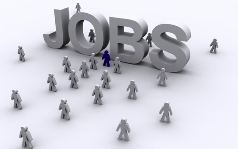 piata muncii locuri de munca vacante pe listele ajofm 67ece14ed635d