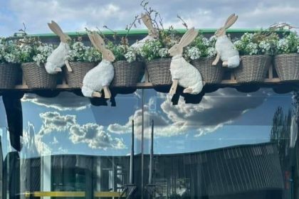 sighetu marmatiei turul orasului cu autobuzul iepurasului 67fe1fa33e885