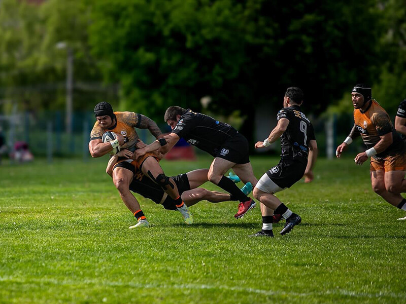 universitatea elbi cluj napoca csm stiinta baia mare 67ef80cae2022
