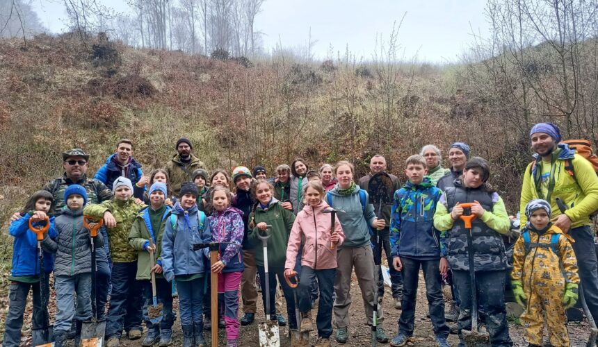 valea usturoiului treizeci de cercetasi au plantat 150 de castani comestibili 67fcc3b7b95f2
