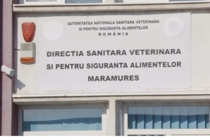 video dsvsa maramures in preajma sarbatorilor actioneaza in teritoriu la sursele de aprovizionare 6800f6553b656