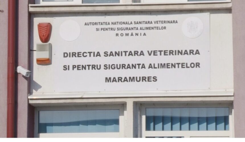 video dsvsa maramures in preajma sarbatorilor actioneaza in teritoriu la sursele de aprovizionare 6800f6553b656