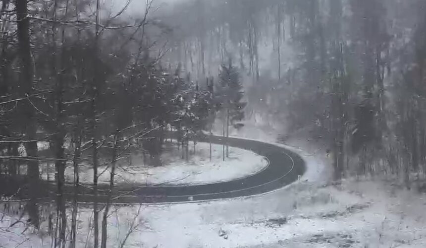 video ninsori de aprilie in maramures 67f4d98bb7d90