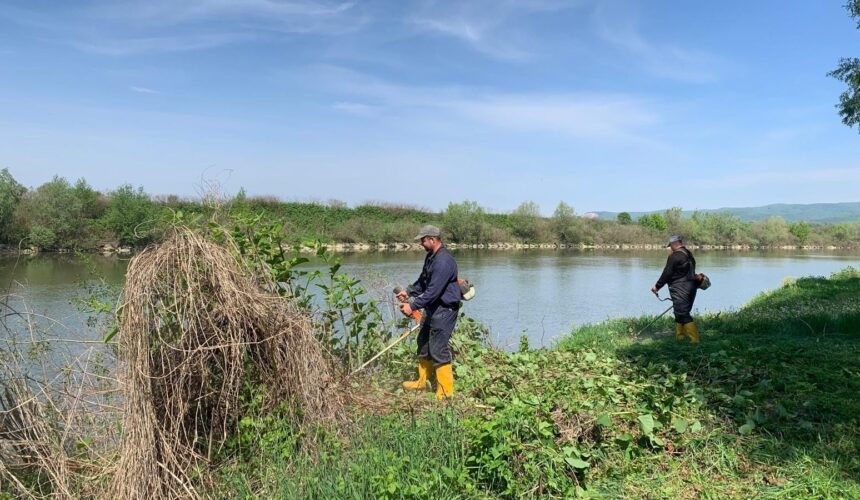 actiune de ecologizare si intretinere pe malurile raului somes in zona tautii magheraus 68147d9e68c6a