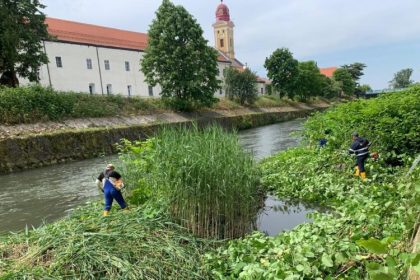 baia mare lucrari de intretinere pe raul sasar 6836de74f13a2