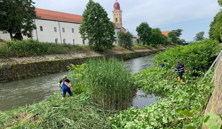 baia mare lucrari de intretinere pe raul sasar 6836de74f13a2