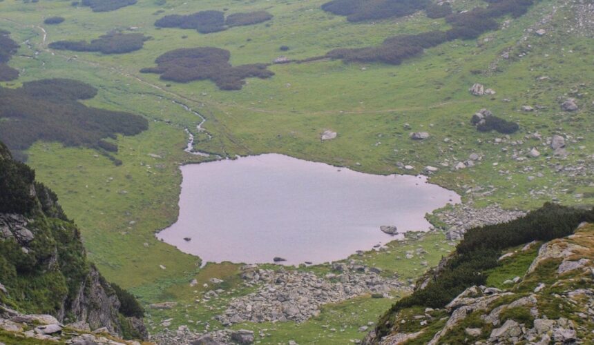 baia mare simpozionul patrimoniul natural la muzeul de mineralogie 6825c7b3bfed8