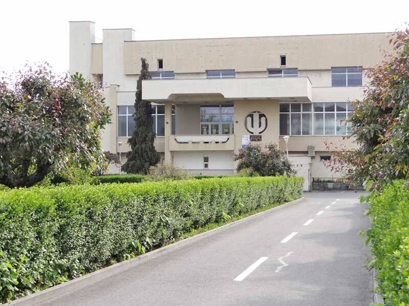 cupa flykick 68300c2c99734