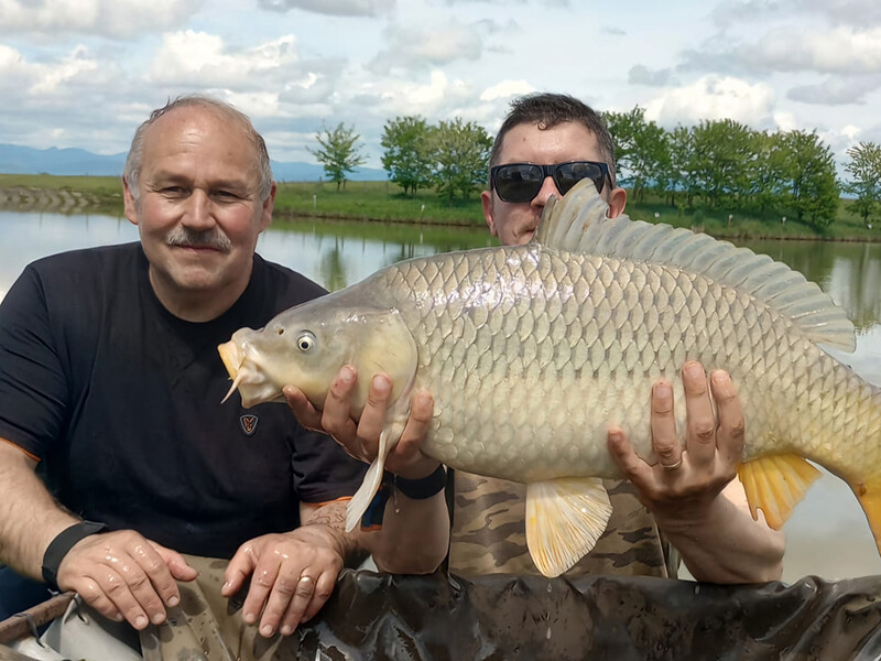 cupa rezervistului la crap 68358cc73c4c6