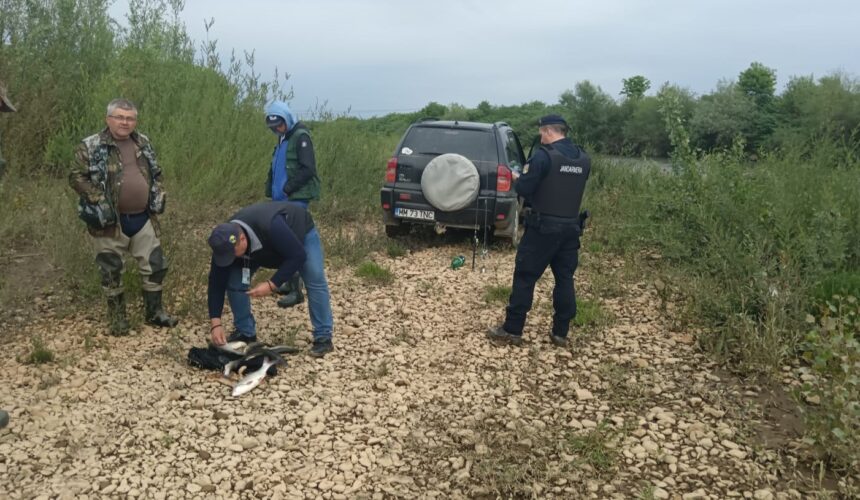 jandarmeria maramures actiune pentru combaterea pescuitului ilegal 683828ff40a34