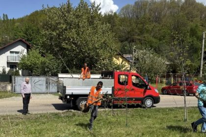 pap zsolt istvan plantarile aferente primaverii 2025 s au incheiat 682c476ff025f