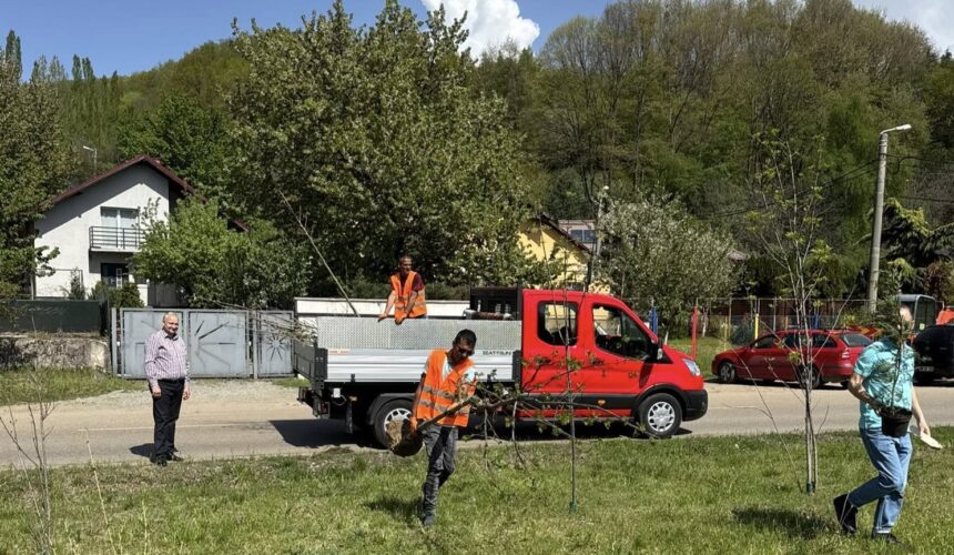 pap zsolt istvan plantarile aferente primaverii 2025 s au incheiat 682c476ff025f