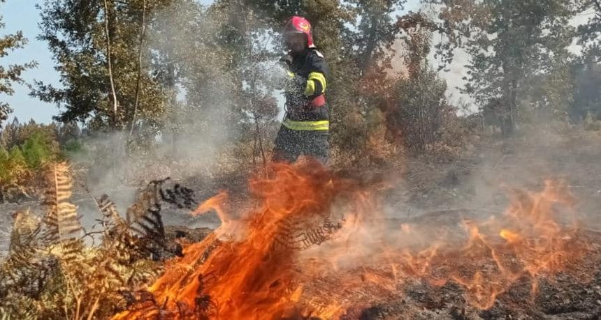 poienile de sub munte incendiu de vegetatie suprafata afectata e estimata la 100 de hectare 68149be535531