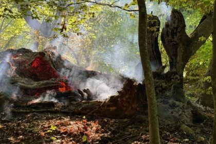 pompierii maramureseni au actionat pentru lichidarea mai multor arderi necontrolate de vegetatie uscata si litiera de padure 68131dfb5c10b