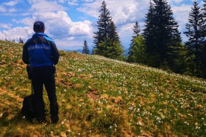 video caprioara salvata de jandarmii montani maramureseni 682f2c65c2de4