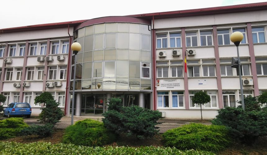 video dsvsa maramures efectueaza controale de verificare a actiunilor medicilor veterinari 682346c0ccb6d