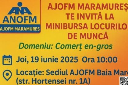 ajofm maramures minibursa locurilor de munca in domeniul comertului en gros 6852be608b940