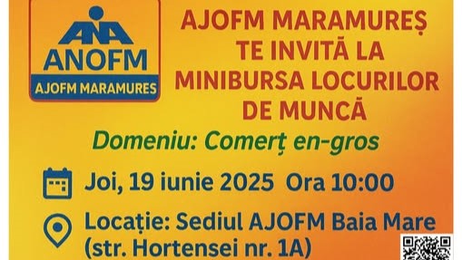 ajofm maramures minibursa locurilor de munca in domeniul comertului en gros 6852be608b940