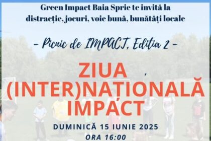 baia sprie un picnic altfel de ziua internationala impact 684bebc0a8c7c