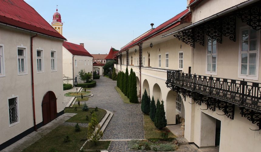 muzeul judetean de istorie stagiu de practica studenteasca in depozitul muzeal 6846b3c6af6d4