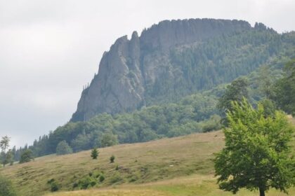 o experienta de neuitat la creasta cocosului de ziua mondiala a mediului 6845995861bd6