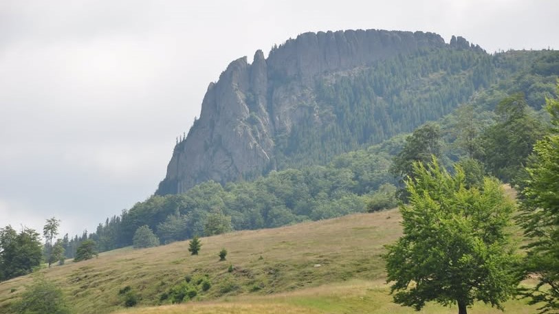 o experienta de neuitat la creasta cocosului de ziua mondiala a mediului 6845995861bd6