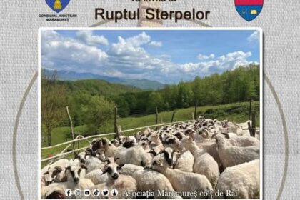 ruptul sterpelor o zi precum in vremurile de odinioara la petrova 6844444f0f673