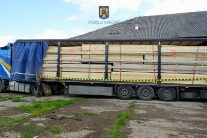 sighet politistii au confiscat 50 mc de lemne si tirul care le transporta 6840243933844