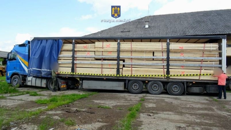 sighet politistii au confiscat 50 mc de lemne si tirul care le transporta 6840243933844