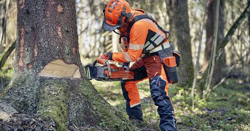 274 locuri de munca disponibile in maramures 688329250332a