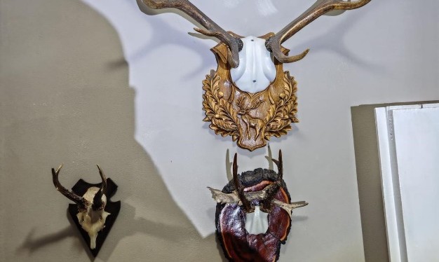 borsa perchezitii la persoane suspectate de nerespectarea regimului armelor si munitiilor si braconaj 6889e1c403f7c