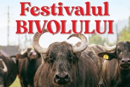 festivalul bivolului din tara lapusului la cea de a 2 a editie 6887857485aca