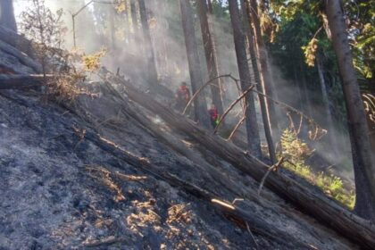 isu maramures misiunea de stingere din muntii tibles a fost reluata 6866365e20adc