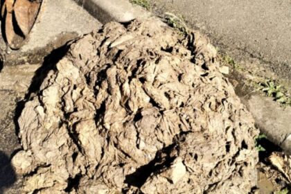 semnal de alarma utilizare necorespunzatoare a sistemului de canalizare in baia sprie atentioneaza vital 686bc601ca201