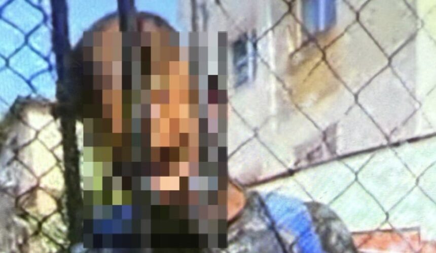 ultraj contra bunelor moravuri in curtea unei scoli din baia mare 687e008784cfa