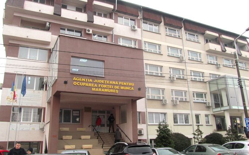 video cei mai multi someri in maramures sunt din categoria de varsta 40 49 de ani 6888ce3bb495f