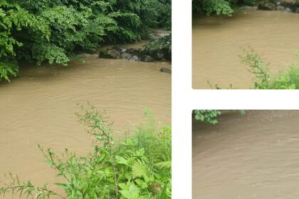 vital agentia tautii magheraus ploile din ultimele zile creeaza probleme in tratarea apei 686fb9bf3c025