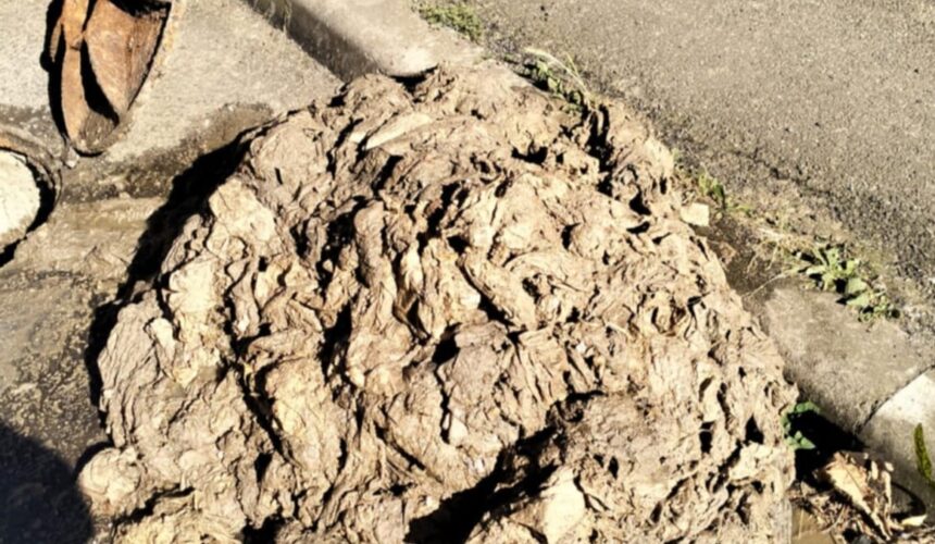 vital semnal de alarma utilizare necorespunzatoare a sistemului de canalizare in baia sprie 6878bb72ac144