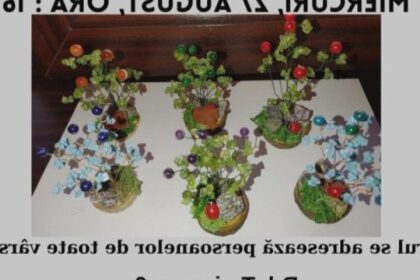 biblioteca judeteana cum sa facem un pomisor decorativ din margele la filiala traian 68ad7395480ca