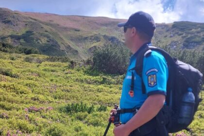 inspectoratul de jandarmi cum procedam in cazul in care intalnim un urs in drumul nostru 689c4c65a7b21