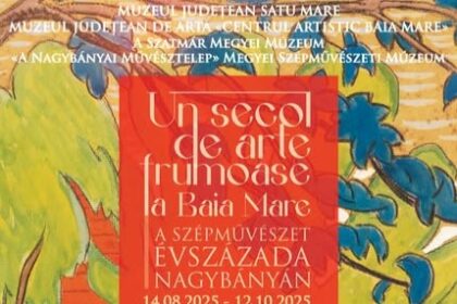 muzeul judetean de arta arta baimareana in satu mare 689c6b0b789dd