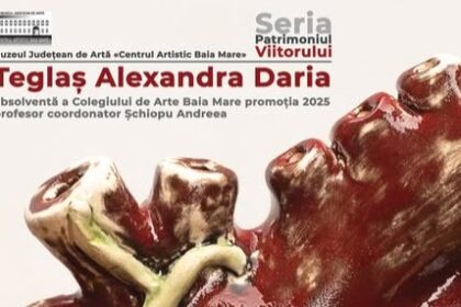 muzeul judetean de arta ritmuri interioare microexpozitie semnata teglas alexandra daria 689079bba6435