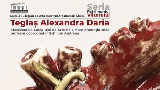 muzeul judetean de arta ritmuri interioare microexpozitie semnata teglas alexandra daria 689079bba6435
