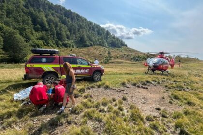 salvamont maramures actiune contracronometru in zona creasta cocosului pentru a salva un copil de 7 ani muscat de sarpe 6894ff1c5d46c