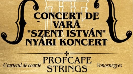 sighetu marmatiei concert de vara cu cvartetul profcafe strings 689c89957fd98