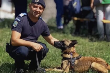 video camarazii patrupezi ai jandarmeriei maramures 68adbd15cb029